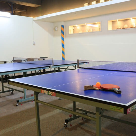 Table Tennis Room