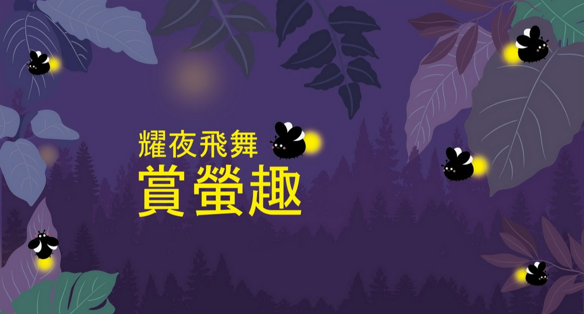 耀夜飛舞-賞螢趣