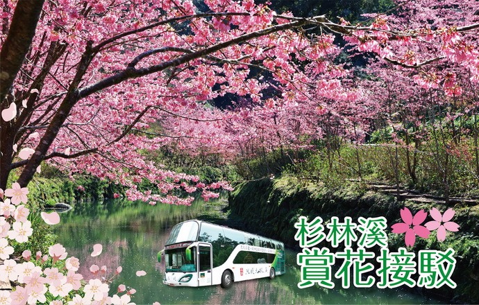 杉林溪賞花接駁（平日）