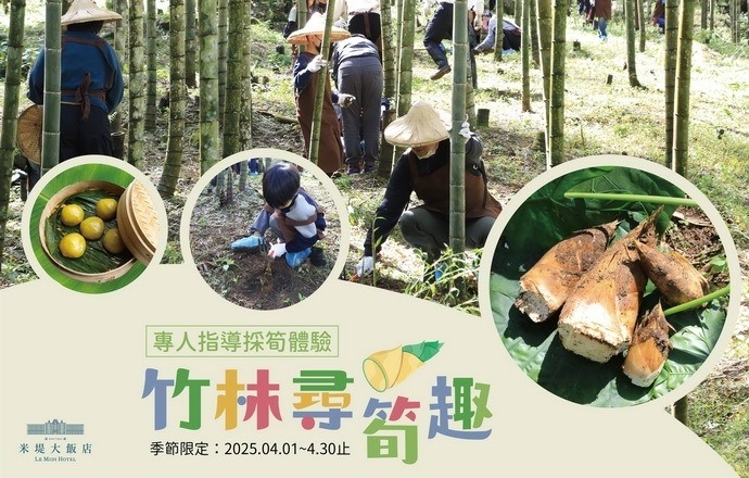 竹林尋筍趣