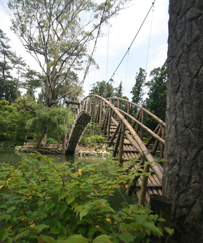 Ecological Trip in Xitou’s Nature