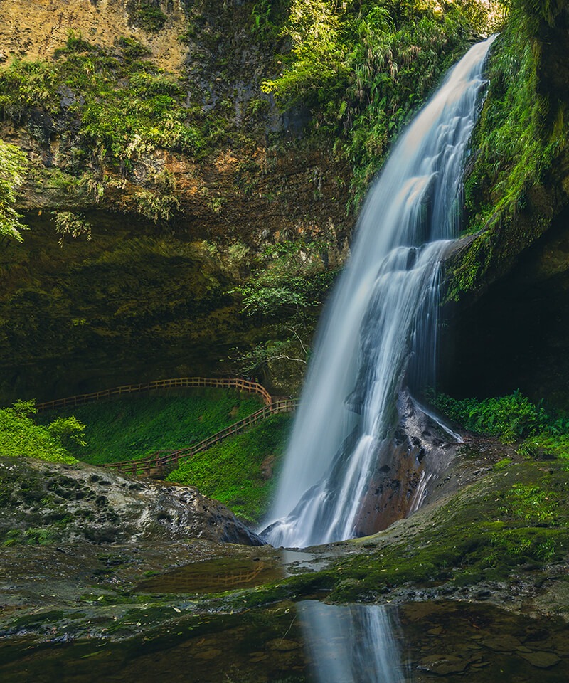 Bath in Forest